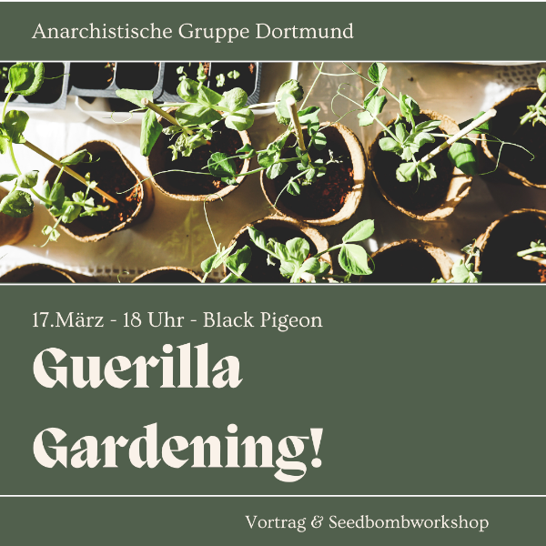 Guerilla Gardening! 17 März, 18 Uhr im Black Pigeon - Vortrag & Seedbombenworkshop